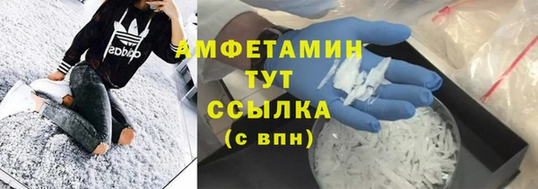 PSILOCYBIN Каменногорск