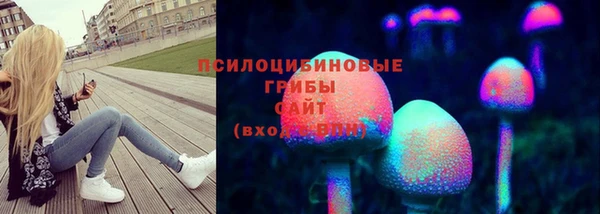 PSILOCYBIN Каменногорск