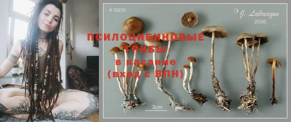 PSILOCYBIN Каменногорск