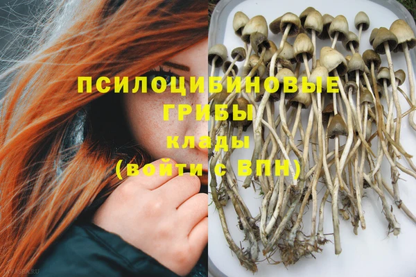 СК Каменка
