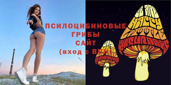 СК Каменка