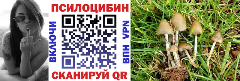 Галлюциногенные грибы Psilocybe  Купить закладки  Ивантеевка 